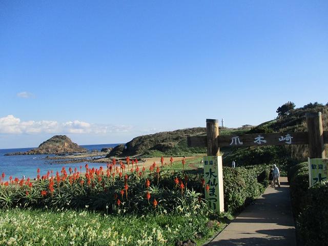 画像10: 12月27日に岡田ガイドのコースで山旅会ハイキング 「須崎遊歩道」 にいってまいりました!