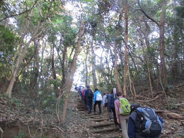 画像15: 12月27日に岡田ガイドのコースで山旅会ハイキング 「須崎遊歩道」 にいってまいりました!