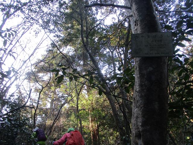 画像2: 先日12月21日に岡田ガイドのコースで 「高尾山」 へ行ってきました!