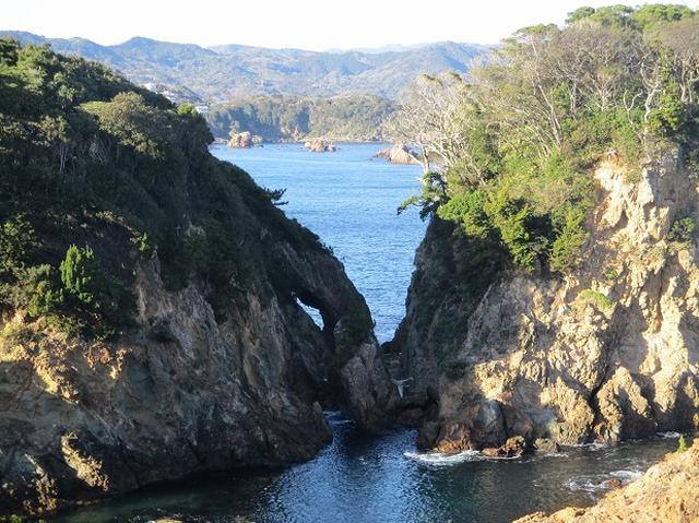 画像14: 12月27日に岡田ガイドのコースで山旅会ハイキング 「須崎遊歩道」 にいってまいりました!