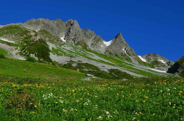 画像5: 2019年・オススメの山 ~花編~