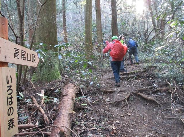画像1: 先日12月21日に岡田ガイドのコースで 「高尾山」 へ行ってきました!
