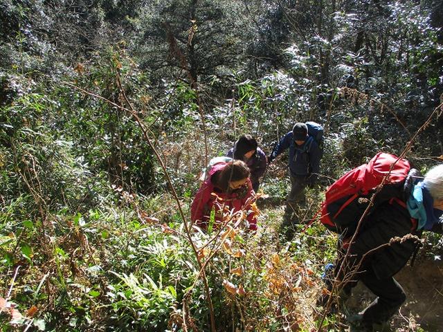 画像5: 年末年始に 山旅会現地集合 「駒木野から八王子城址」 ツアーにいってまいりました!