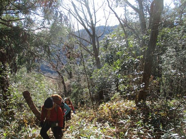 画像2: 年末年始に 山旅会現地集合 「駒木野から八王子城址」 ツアーにいってまいりました!
