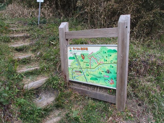 画像3: 1月の山旅会ハイキング 「とみやま水仙遊歩道と濃溝の滝」 の下見のご報告です!