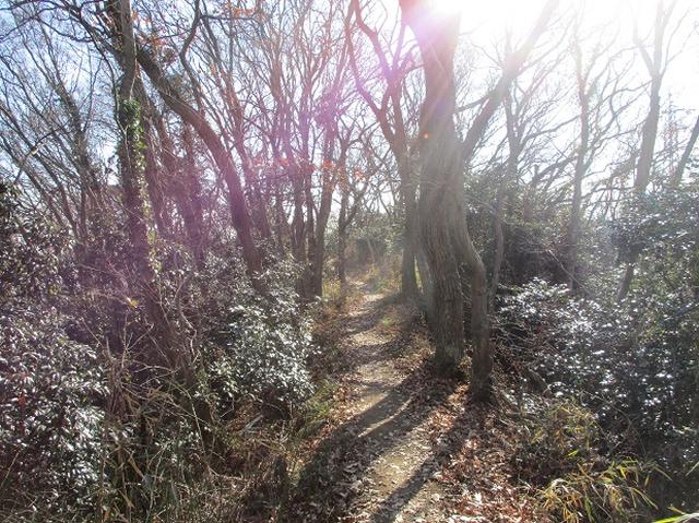 画像6: 先日1月7日に山旅会現地集合 「聖峰から高取山」 ツアーにいってまいりました!