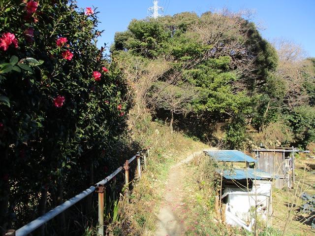 画像8: 1月の山旅会現地集合 「鷹取山から浜見台」 ツアーの下見にいってまいりました!
