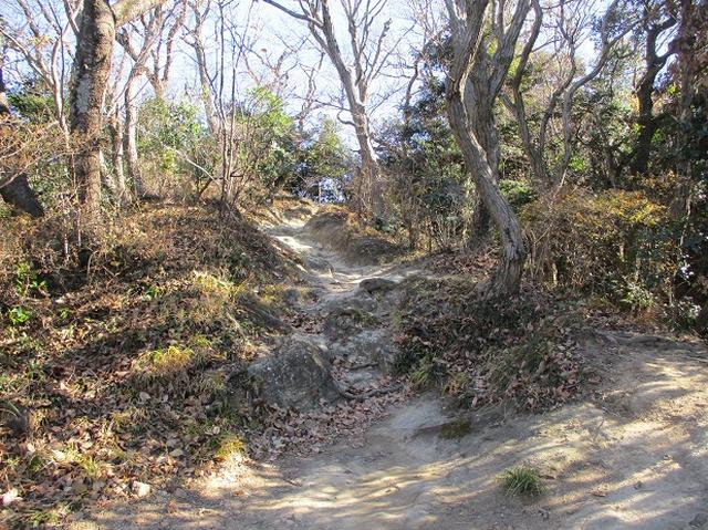 画像4: 1月の山旅会現地集合 「鷹取山から浜見台」 ツアーの下見にいってまいりました!