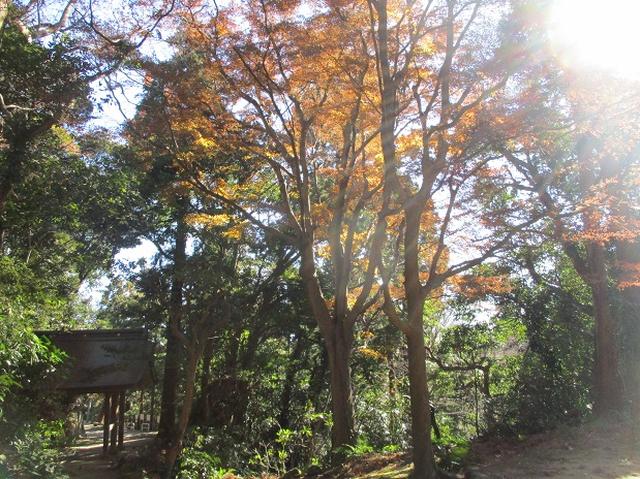画像1: 1月の山旅会現地集合 「鷹取山から浜見台」 ツアーの下見にいってまいりました!