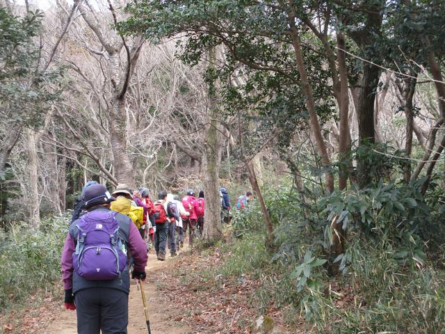 画像6: 先日1月10日に山旅会 「宝篋(ほうきょう)山」 ツアーにいってまいりました!