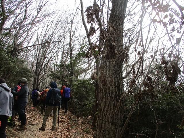 画像2: 先日1月10日に山旅会 「宝篋(ほうきょう)山」 ツアーにいってまいりました!