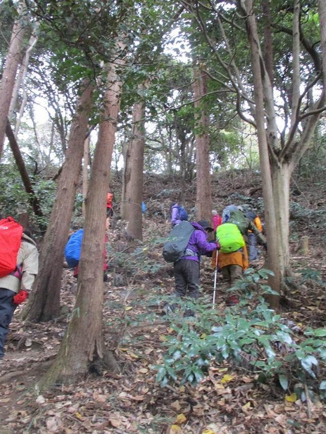 画像6: 1月12日に山旅会現地集合ツアー 「六浦から朝比奈切通・大平山」 ツアーにいってまいりました!