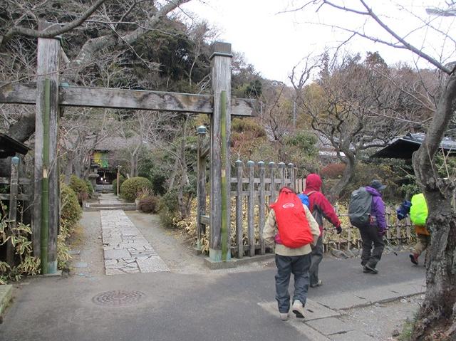 画像5: 1月12日に山旅会現地集合ツアー 「六浦から朝比奈切通・大平山」 ツアーにいってまいりました!