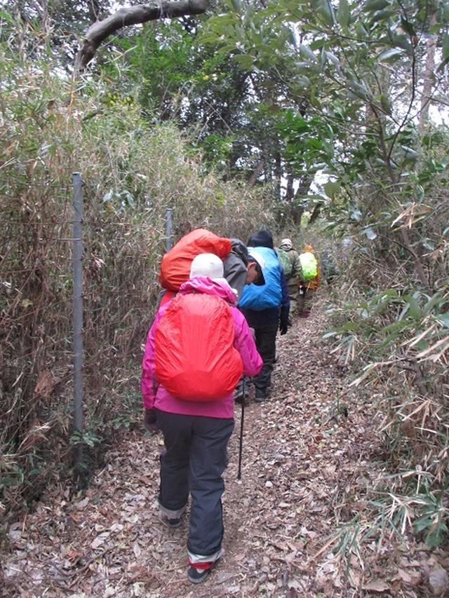 画像1: 1月12日に山旅会現地集合ツアー 「六浦から朝比奈切通・大平山」 ツアーにいってまいりました!