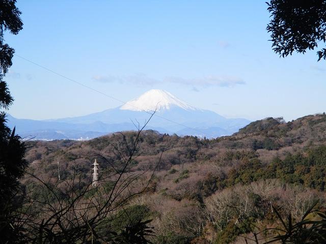 画像8: 1月12日に山旅会現地集合ツアー 「六浦から朝比奈切通・大平山」 ツアーにいってまいりました!