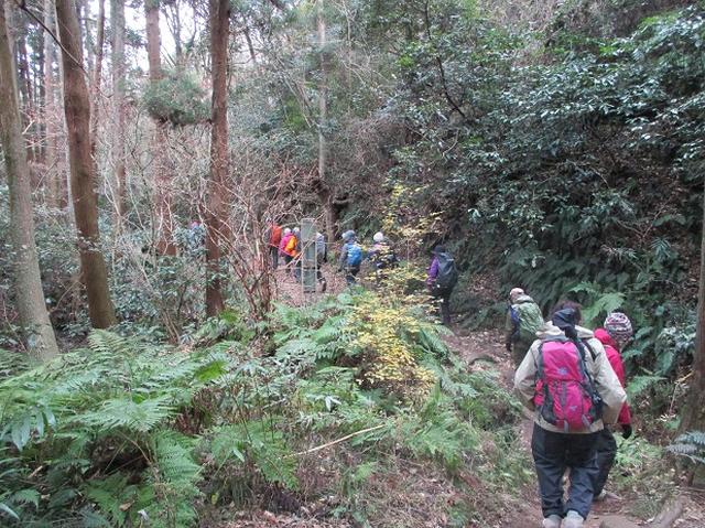 画像11: 1月12日に山旅会現地集合ツアー 「六浦から朝比奈切通・大平山」 ツアーにいってまいりました!