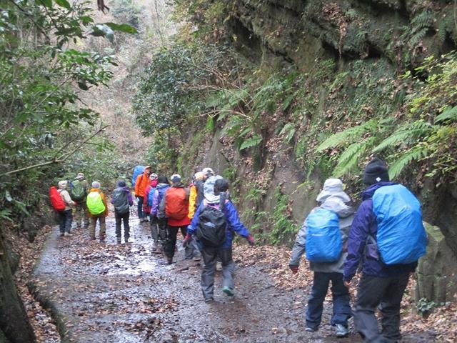 画像3: 1月12日に山旅会現地集合ツアー 「六浦から朝比奈切通・大平山」 ツアーにいってまいりました!