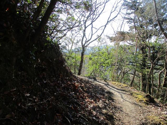 画像4: 1月の山旅会 「高宕山」 の下見にいってまいりました!