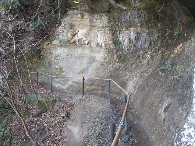 画像8: 1月の山旅会 「高宕山」 の下見にいってまいりました!