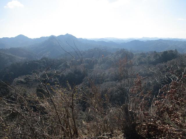 画像3: 1月の山旅会 「高宕山」 の下見にいってまいりました!