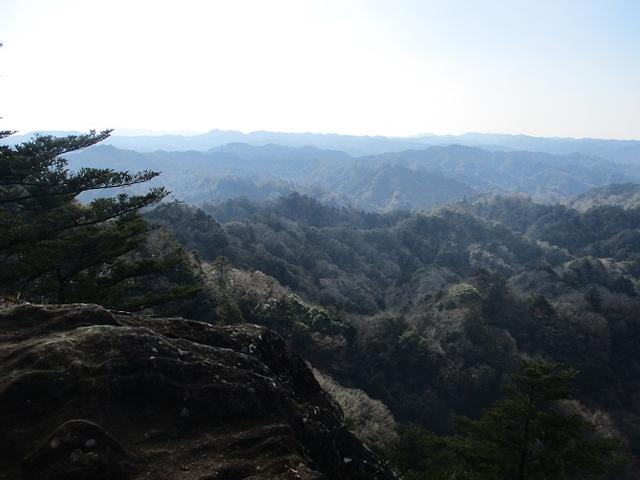 画像7: 1月の山旅会 「高宕山」 の下見にいってまいりました!