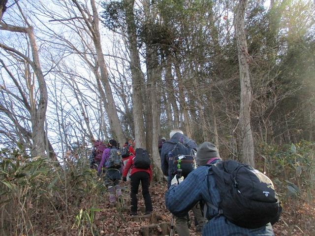画像2: 11日に岡田ガイドのコースで、 丹沢南山 へいってきました♪