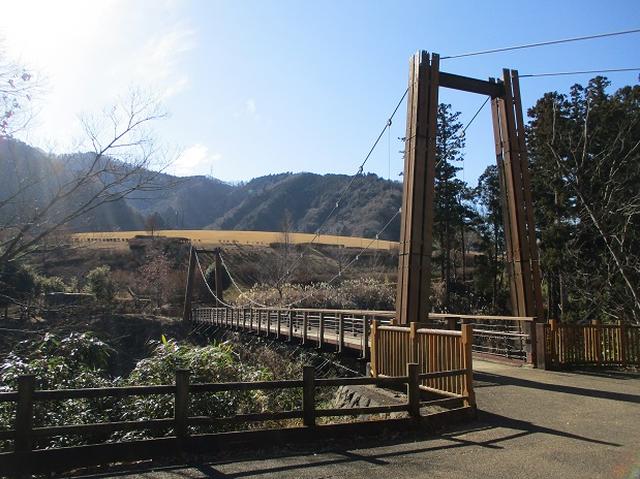画像12: 11日に岡田ガイドのコースで、 丹沢南山 へいってきました♪