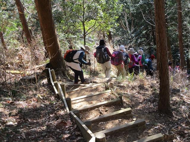 画像11: 11日に岡田ガイドのコースで、 丹沢南山 へいってきました♪