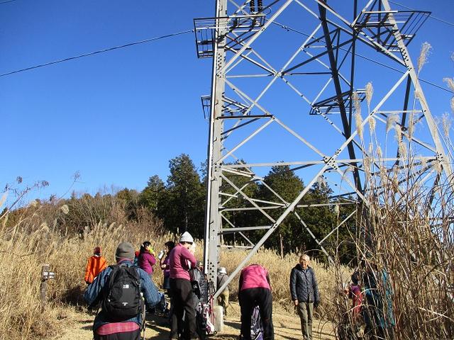 画像3: 11日に岡田ガイドのコースで、 丹沢南山 へいってきました♪