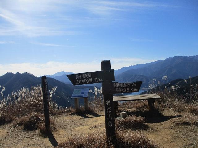 画像9: 11日に岡田ガイドのコースで、 丹沢南山 へいってきました♪