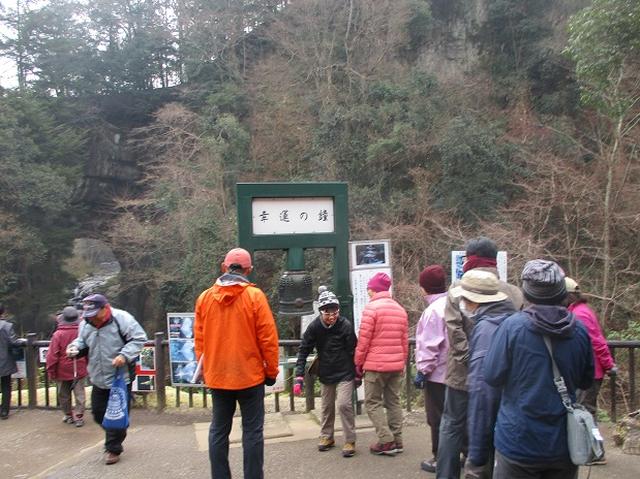 画像2: 新年1本目は房総の 「とみやま水仙遊歩道」 へ1月15日に 行って来ました♪