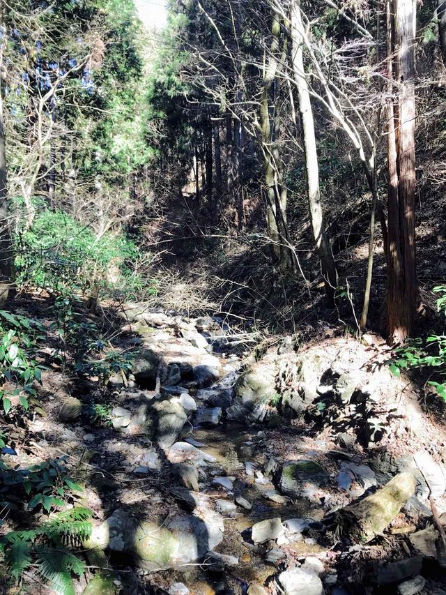 画像: 渓流も、夏とは違った雰囲気に。