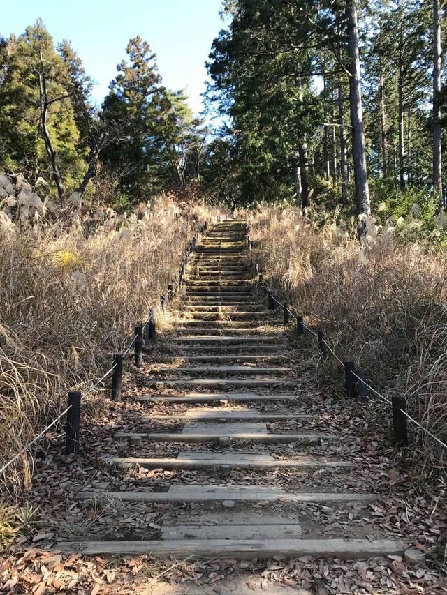 画像: 高尾山へ続く登り道