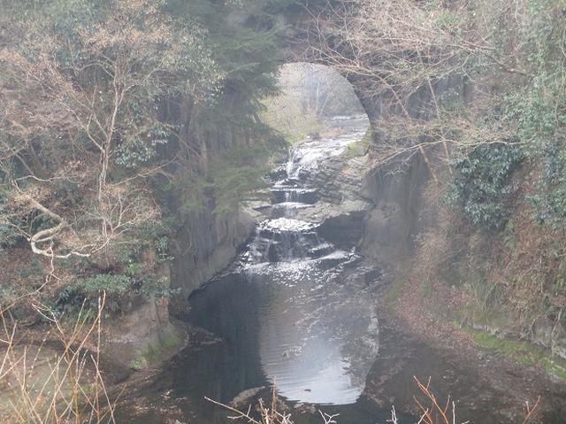 画像3: 新年1本目は房総の 「とみやま水仙遊歩道」 へ1月15日に 行って来ました♪