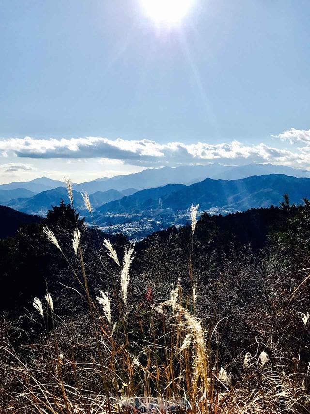 画像: 山頂からの景色。快晴で遠くまでよく見えました。