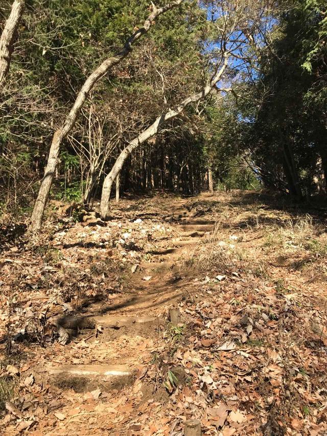 画像: 久しぶりの登山だったので、上機嫌で歩きました♪