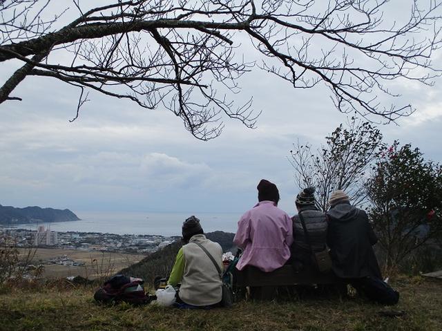 画像13: 新年1本目は房総の 「とみやま水仙遊歩道」 へ1月15日に 行って来ました♪