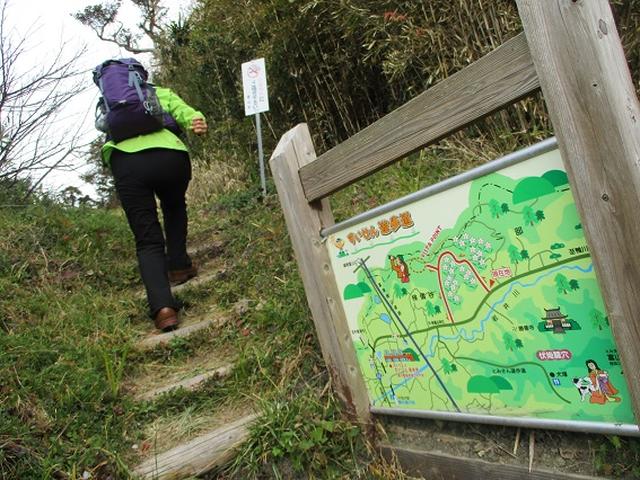 画像8: 新年1本目は房総の 「とみやま水仙遊歩道」 へ1月15日に 行って来ました♪