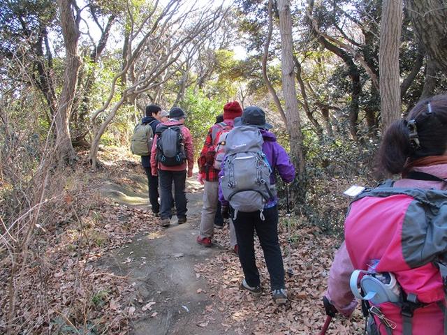 画像9: 【山旅会・登山ガイドこだわりツアー】添乗員からの便り・鷹取山から浜見台ツアーにいってまいりました!