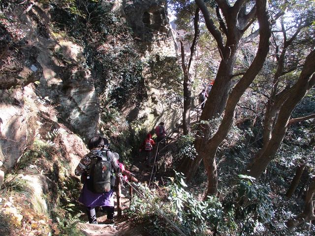 画像4: 【山旅会・登山ガイドこだわりツアー】添乗員からの便り・鷹取山から浜見台ツアーにいってまいりました!