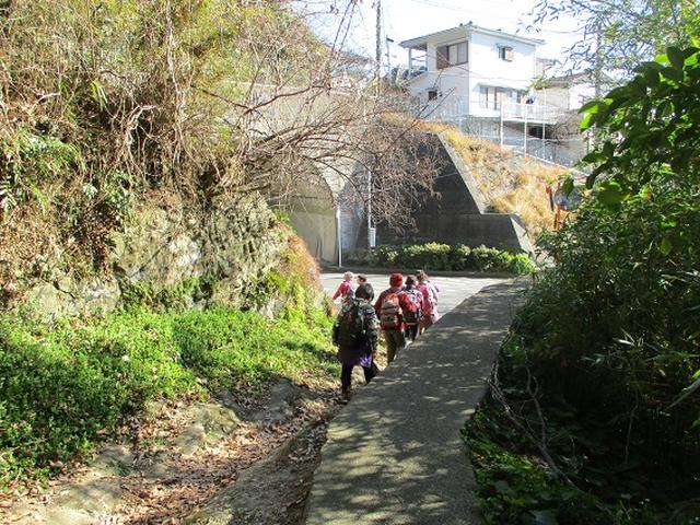 画像10: 【山旅会・登山ガイドこだわりツアー】添乗員からの便り・鷹取山から浜見台ツアーにいってまいりました!