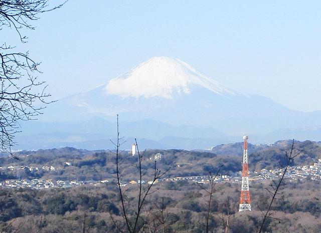 画像2: 【山旅会・登山ガイドこだわりツアー】添乗員からの便り・鷹取山から浜見台ツアーにいってまいりました!