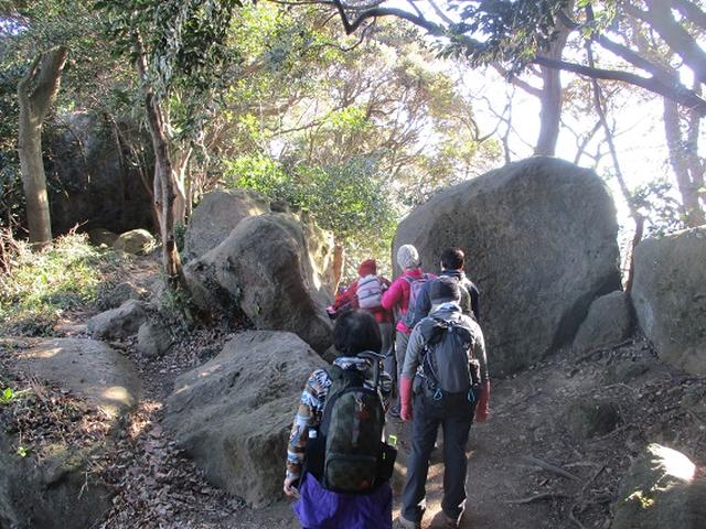 画像3: 【山旅会・登山ガイドこだわりツアー】添乗員からの便り・鷹取山から浜見台ツアーにいってまいりました!