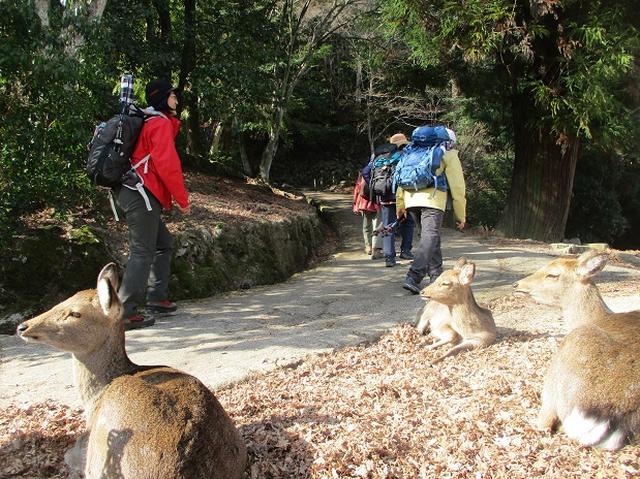画像5: 【山旅会・登山ガイドこだわりツアー】添乗員からの便り・広島県と山口県のツアーにいってまいりました!(その1)