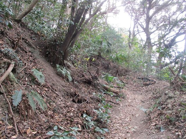 画像3: 【山旅会・登山ガイドこだわりツアー】添乗員からの便り・阿部倉山から二子山ツアーの下見にいってまいりました!