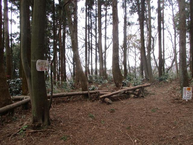 画像4: 【山旅会・登山ガイドこだわりツアー】添乗員からの便り・阿部倉山から二子山ツアーの下見にいってまいりました!