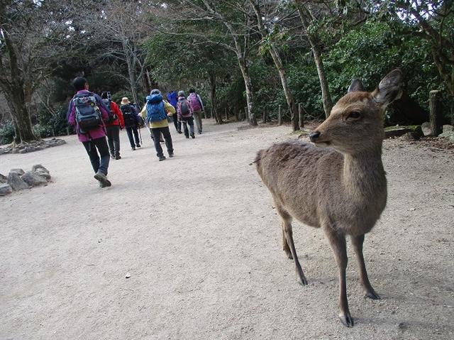 画像15: 【山旅会・登山ガイドこだわりツアー】添乗員からの便り・広島県と山口県のツアーにいってまいりました!(その1)