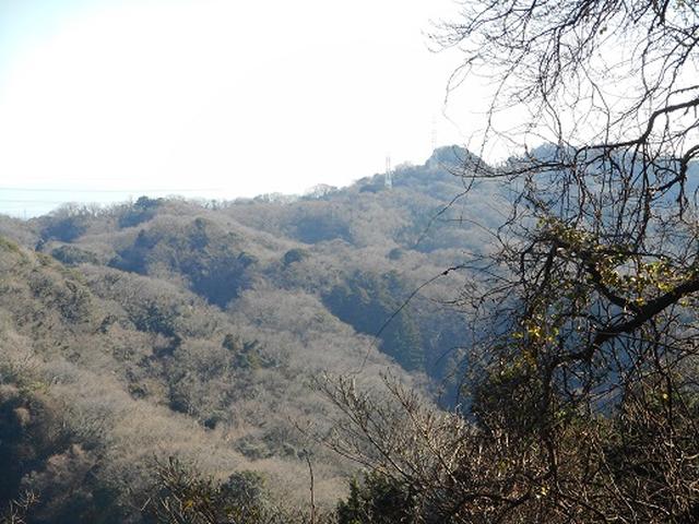 画像10: 【山旅会・登山ガイドこだわりツアー】添乗員からの便り・阿部倉山から二子山ツアーの下見にいってまいりました!
