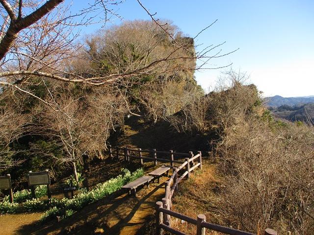 画像1: 【山旅会・登山ガイドこだわりツアー】岡田ガイドからの便り・高宕山ツアーにいってまいりました!