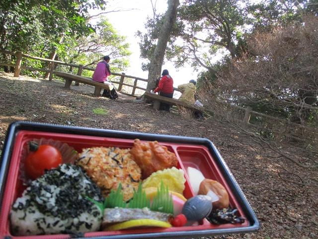 画像10: 【山旅会・登山ガイドこだわりツアー】添乗員からの便り・広島県と山口県のツアーにいってまいりました!(その4)